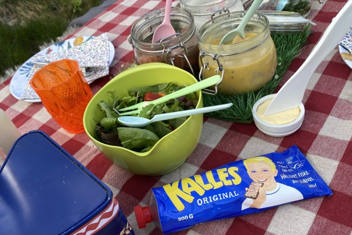 Outdoor picnic setup with salad, condiments, and a tube of Kalles on a red checkered tablecloth.