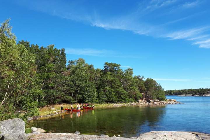 a body of water surrounded by trees