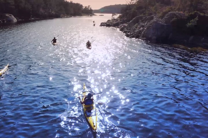 a group of people swimming in a body of water